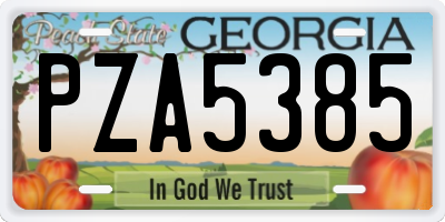 GA license plate PZA5385