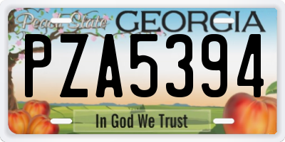 GA license plate PZA5394