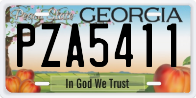 GA license plate PZA5411