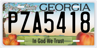 GA license plate PZA5418