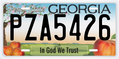 GA license plate PZA5426