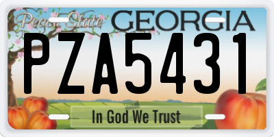 GA license plate PZA5431