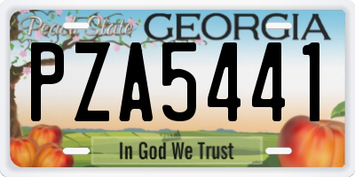 GA license plate PZA5441