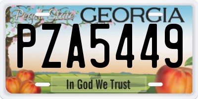 GA license plate PZA5449