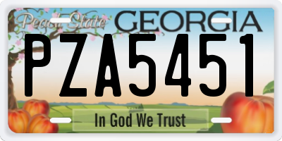 GA license plate PZA5451