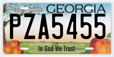 GA license plate PZA5455