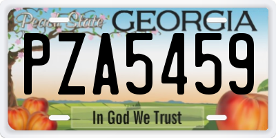 GA license plate PZA5459