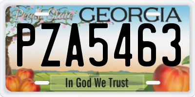 GA license plate PZA5463