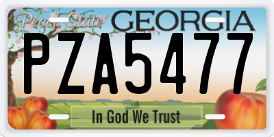 GA license plate PZA5477