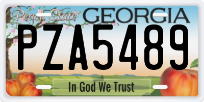 GA license plate PZA5489