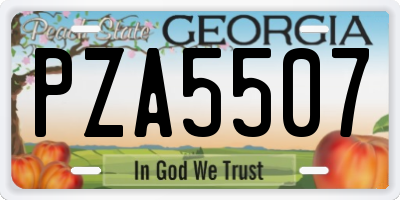 GA license plate PZA5507