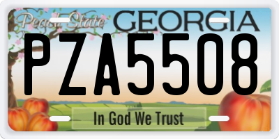 GA license plate PZA5508