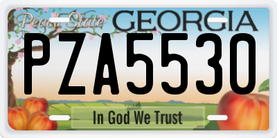 GA license plate PZA5530