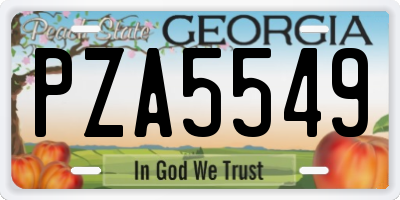 GA license plate PZA5549