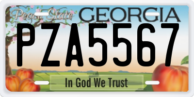 GA license plate PZA5567