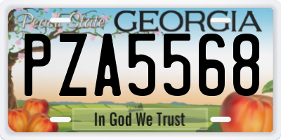 GA license plate PZA5568