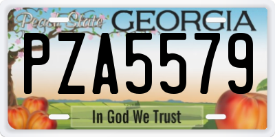 GA license plate PZA5579