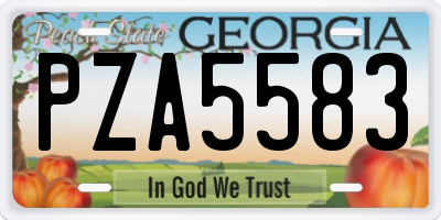 GA license plate PZA5583