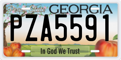 GA license plate PZA5591