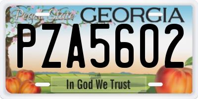 GA license plate PZA5602