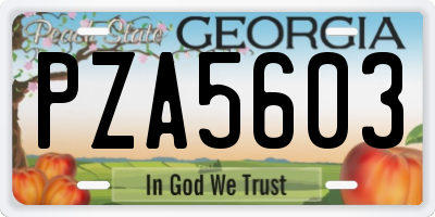 GA license plate PZA5603