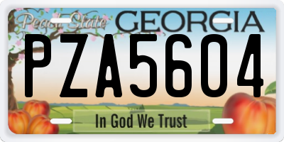 GA license plate PZA5604