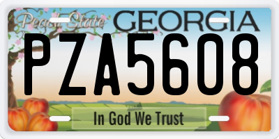 GA license plate PZA5608