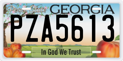 GA license plate PZA5613
