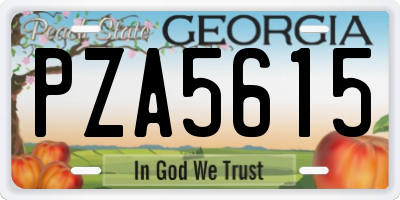 GA license plate PZA5615