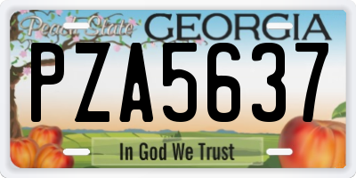 GA license plate PZA5637