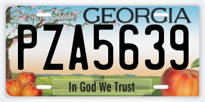 GA license plate PZA5639