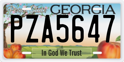 GA license plate PZA5647