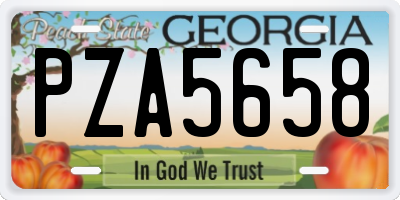 GA license plate PZA5658