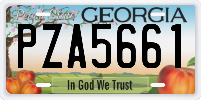 GA license plate PZA5661