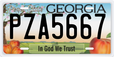 GA license plate PZA5667