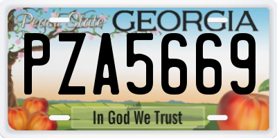 GA license plate PZA5669