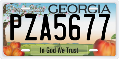 GA license plate PZA5677