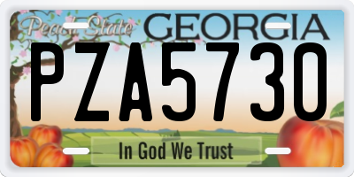 GA license plate PZA5730