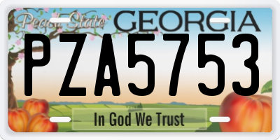 GA license plate PZA5753