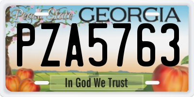 GA license plate PZA5763