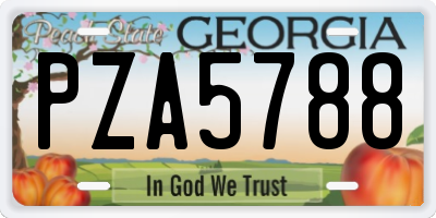 GA license plate PZA5788