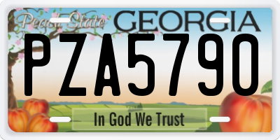 GA license plate PZA5790