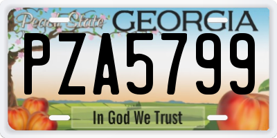 GA license plate PZA5799