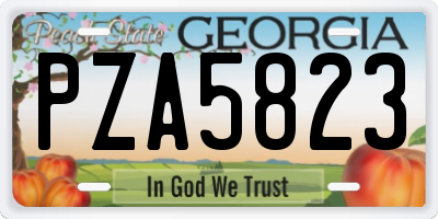 GA license plate PZA5823