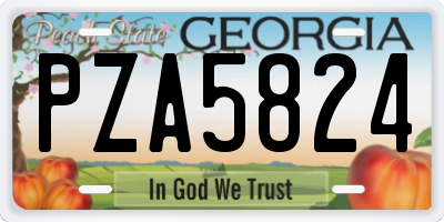 GA license plate PZA5824