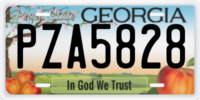 GA license plate PZA5828