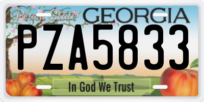 GA license plate PZA5833
