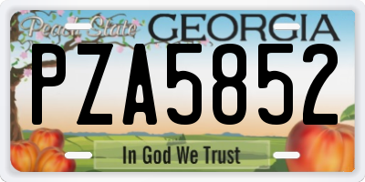 GA license plate PZA5852