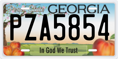 GA license plate PZA5854