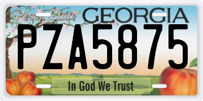 GA license plate PZA5875